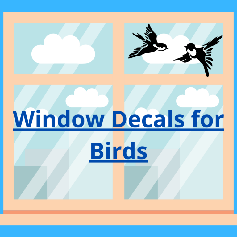 Bird decal and sticker for windows – how effectively do these prevent bird strikes?