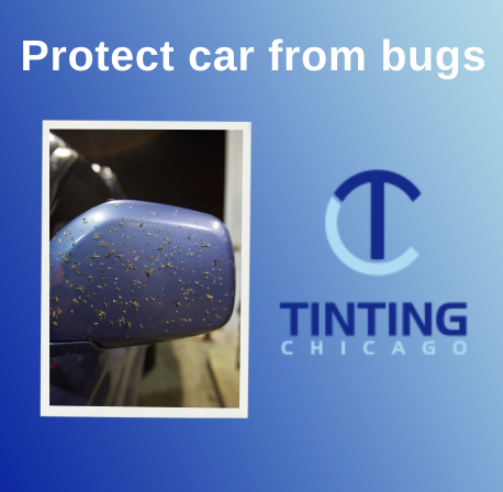 Say Goodbye to Bug Damage – Tips for Protecting Your Car